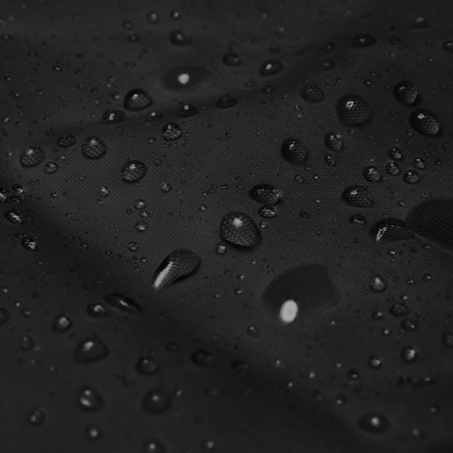 Windbreaker [ Lettering ]